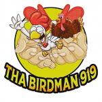 Tha BirdMan 919 LLC