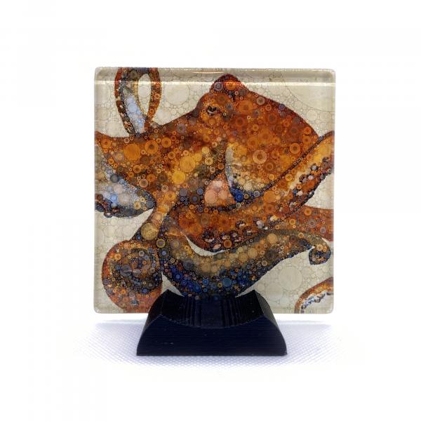 Octopus Coaster (Set of 4) picture