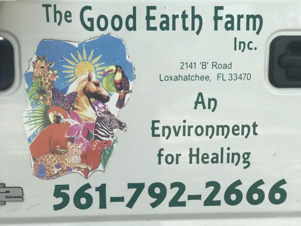 Chocolate chip animal rescue foundation inc