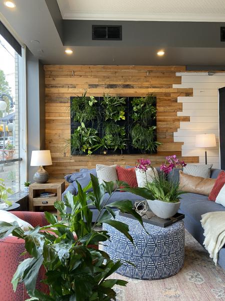 Plant wall frame picture