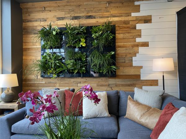 Plant wall frame