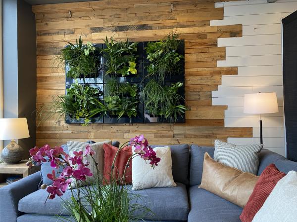 Plant wall frame picture