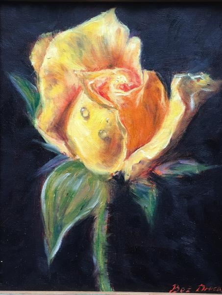 Yellow rose picture