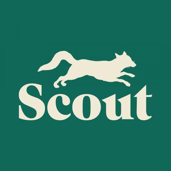 Scout