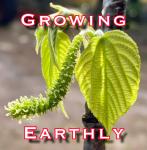 Growing Earthly