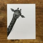 Gerald the Giraffe 8x10