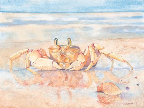 King of the Beach