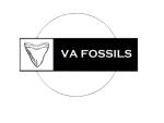 VAFossils