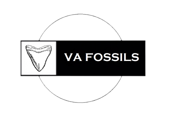 VAFossils