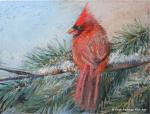 Holiday Card Set - Cardinal