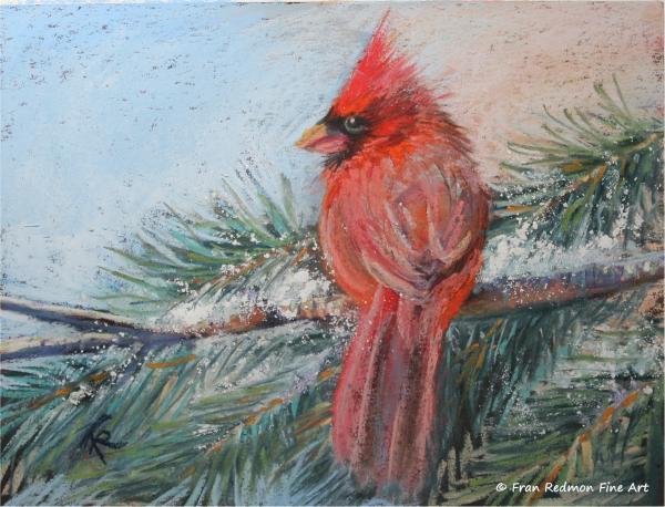 Holiday Card Set - Cardinal