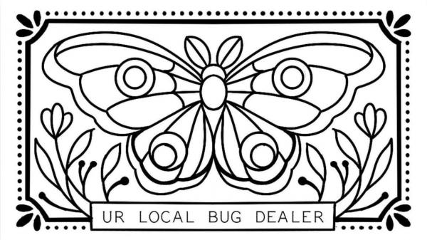Your Local Bug Dealer