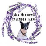 Max Meadows Lavender Farm