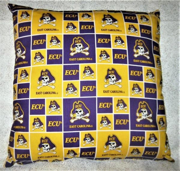 Collegiate Decorative Throw Pillow - 18" x 18" Pillow Insert Included picture