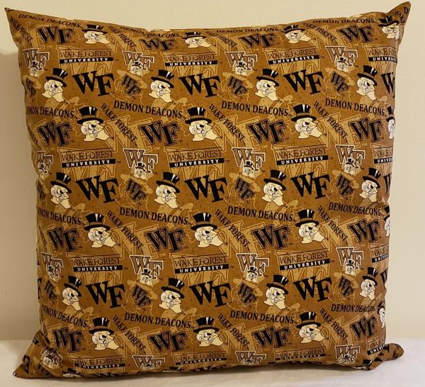 Collegiate Decorative Throw Pillow - 18" x 18" Pillow Insert Included picture