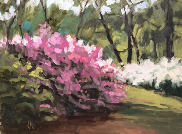 Azaleas 12”x16 oil on panel picture