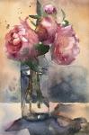 Pink peonies II 11”x7” Watercolor on paper