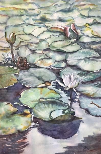 Waterlilies 22”x15” Watercolor