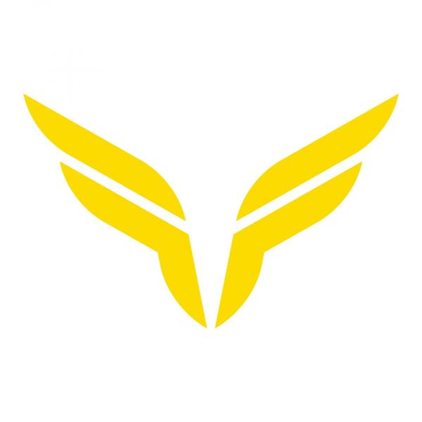 Fly Fitness