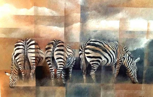 zebra picture