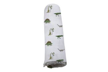 Dino Days Swaddle picture