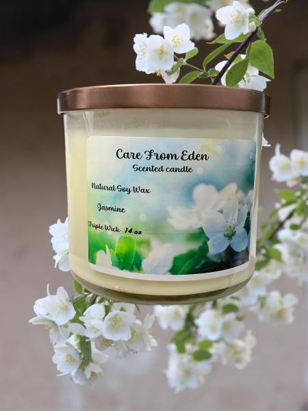 Scented candle. Jasmine