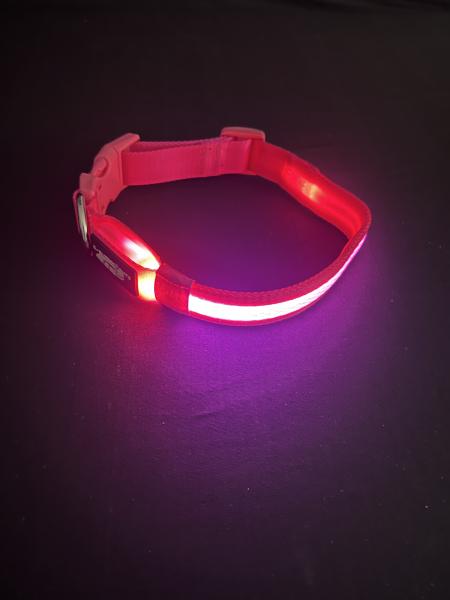 Medium Pink LED Dog Collar picture