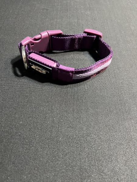 Small Purple LED Dog Collar