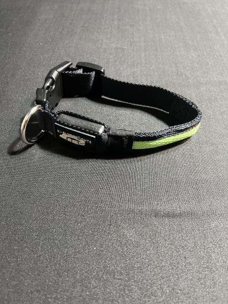 Small Green LED Dog Collar picture