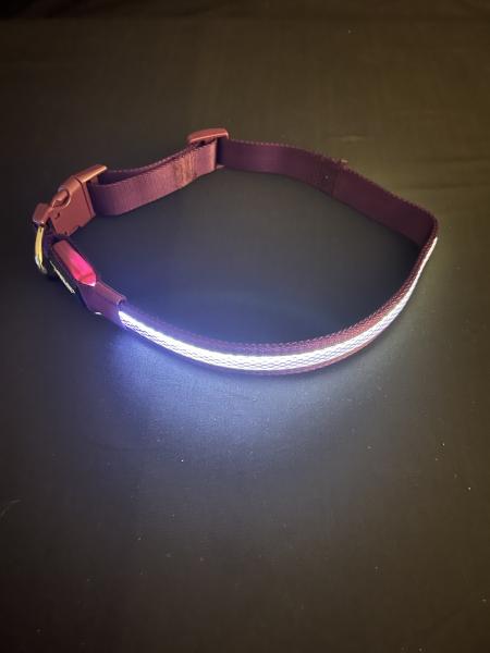 Large/Extra Large Purple LED Dog Collar picture