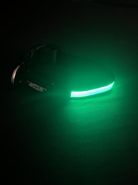 Small Green LED Dog Collar picture