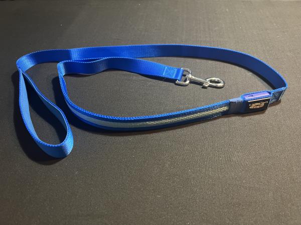 Blue LED Dog Leash picture