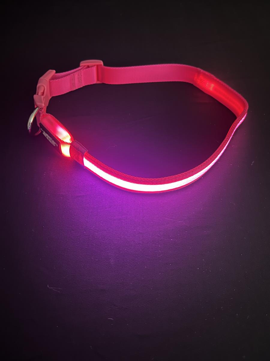 Large/Extra Large Pink LED Dog Collar picture