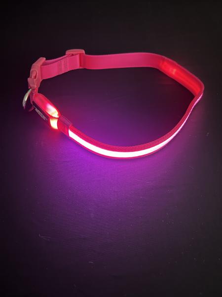 Large/Extra Large Pink LED Dog Collar picture