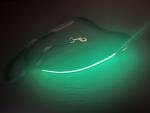 Green LED Dog Leash