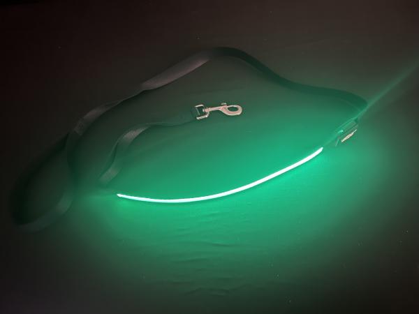 Green LED Dog Leash