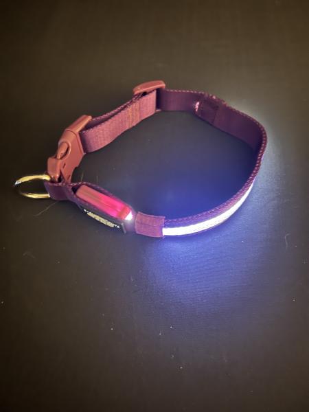 Medium Purple LED Dog Collar picture