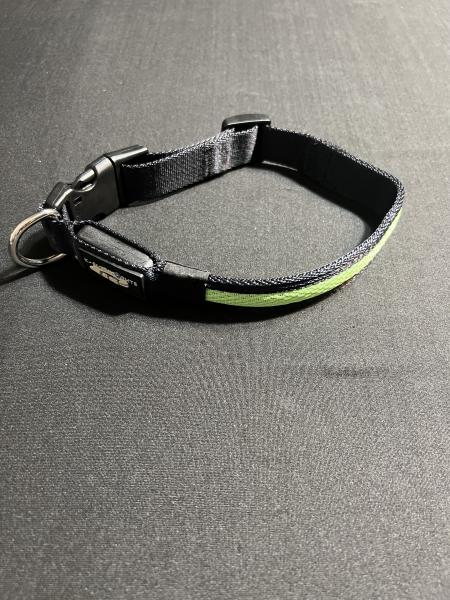 Medium Green LED Dog Collar