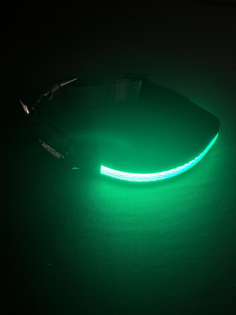 Medium Green LED Dog Collar picture