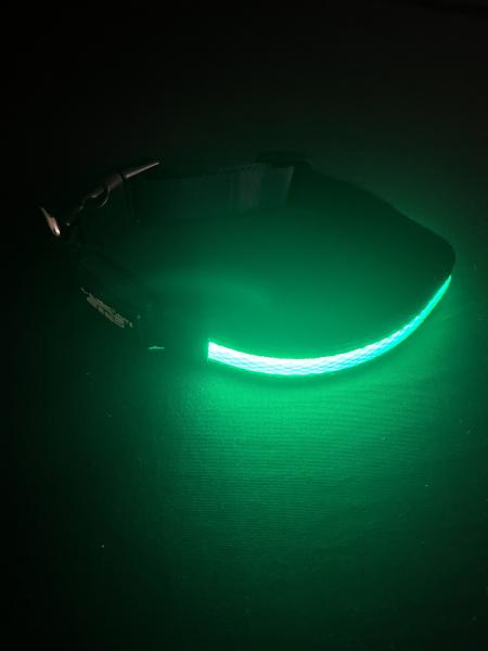 Medium Green LED Dog Collar picture