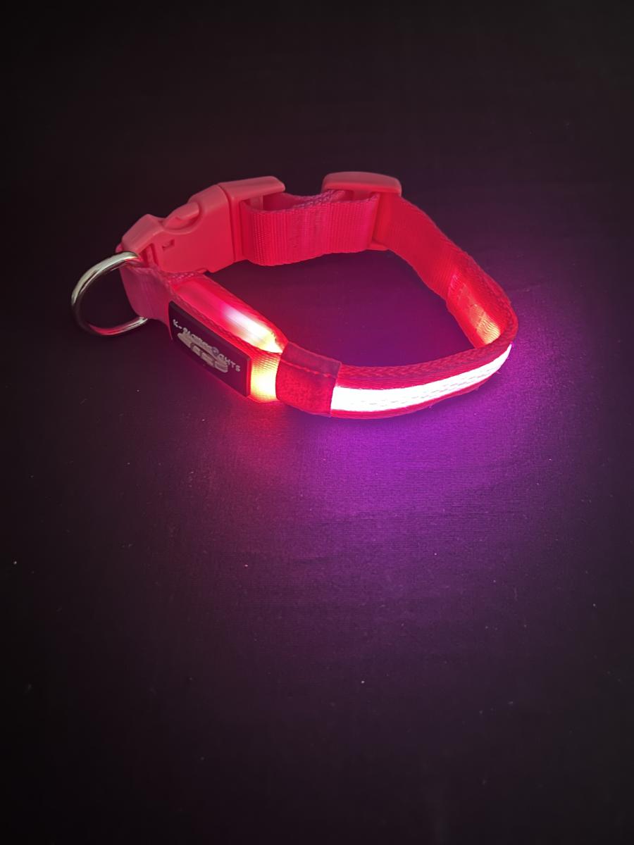 Small Pink LED Dog Collar picture