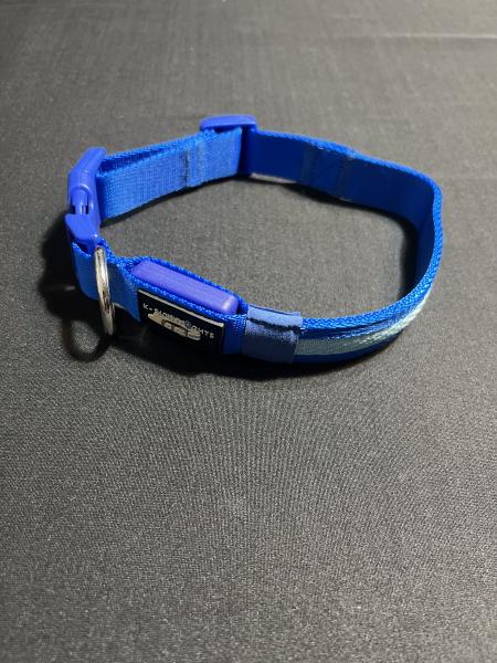Medium Blue LED Dog Collar