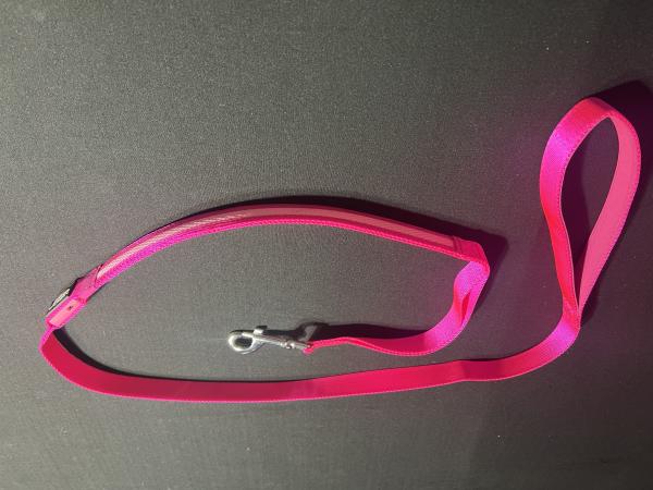 Pink LED Dog Leash picture