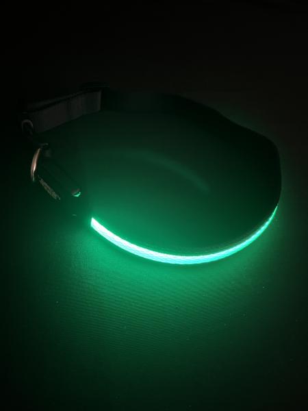 Large/Extra Large Green LED Dog Collar picture