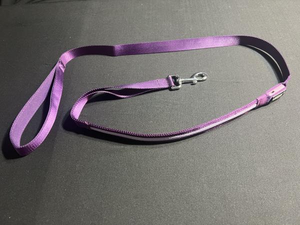 Purple LED Dog Leash picture