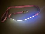 Purple LED Dog Leash