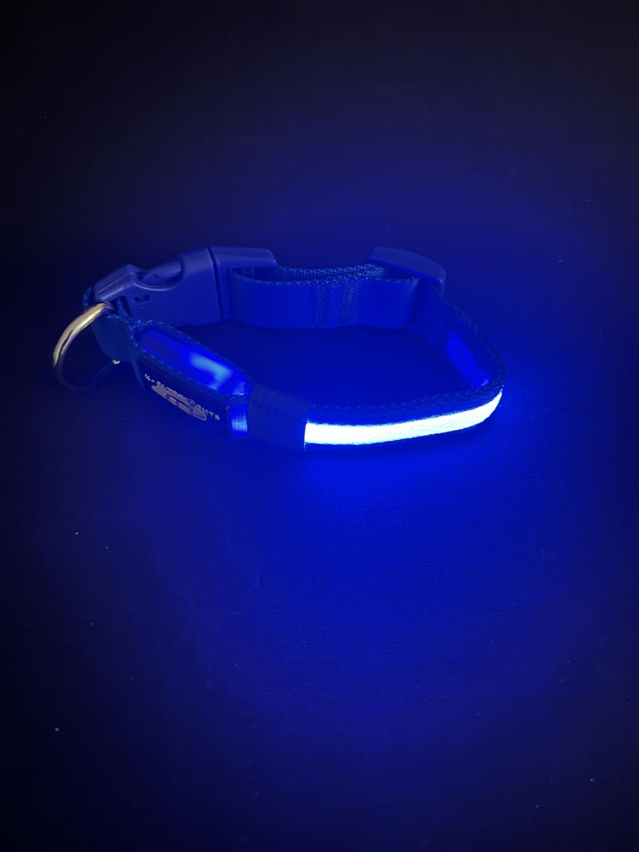 Small Blue LED Dog Collar picture