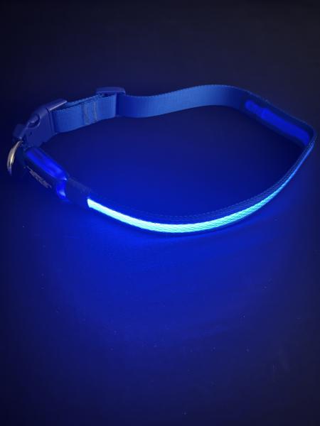 Large/Extra Large Blue LED Dog Collar picture