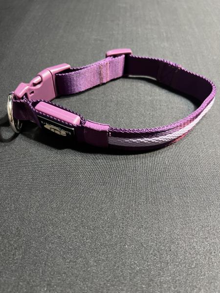 Medium Purple LED Dog Collar