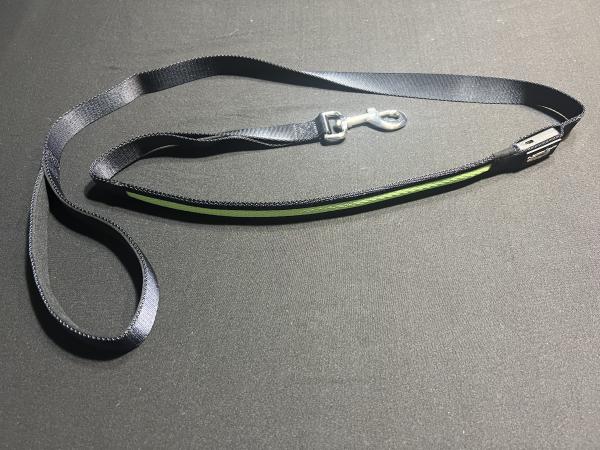 Green LED Dog Leash picture
